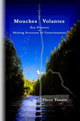 Das Book/eBook: Mouches Volantes - Eye Floaters as Shining Structure of Consciousness.