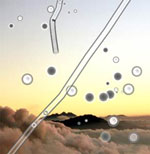 Mouches volantes als Konzentrationsobjekt f&uuml;r die Meditation mit offenen Augen.