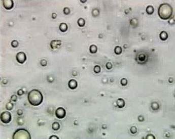 Bionen - Institut f&uuml;r Orgonforschung und Orgontechnik (IOO)