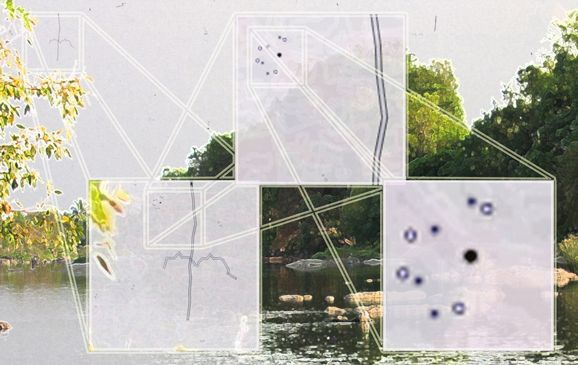 
Darstellung des Zoomeffekts.