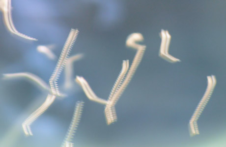 Was roded sich hier zusammen?