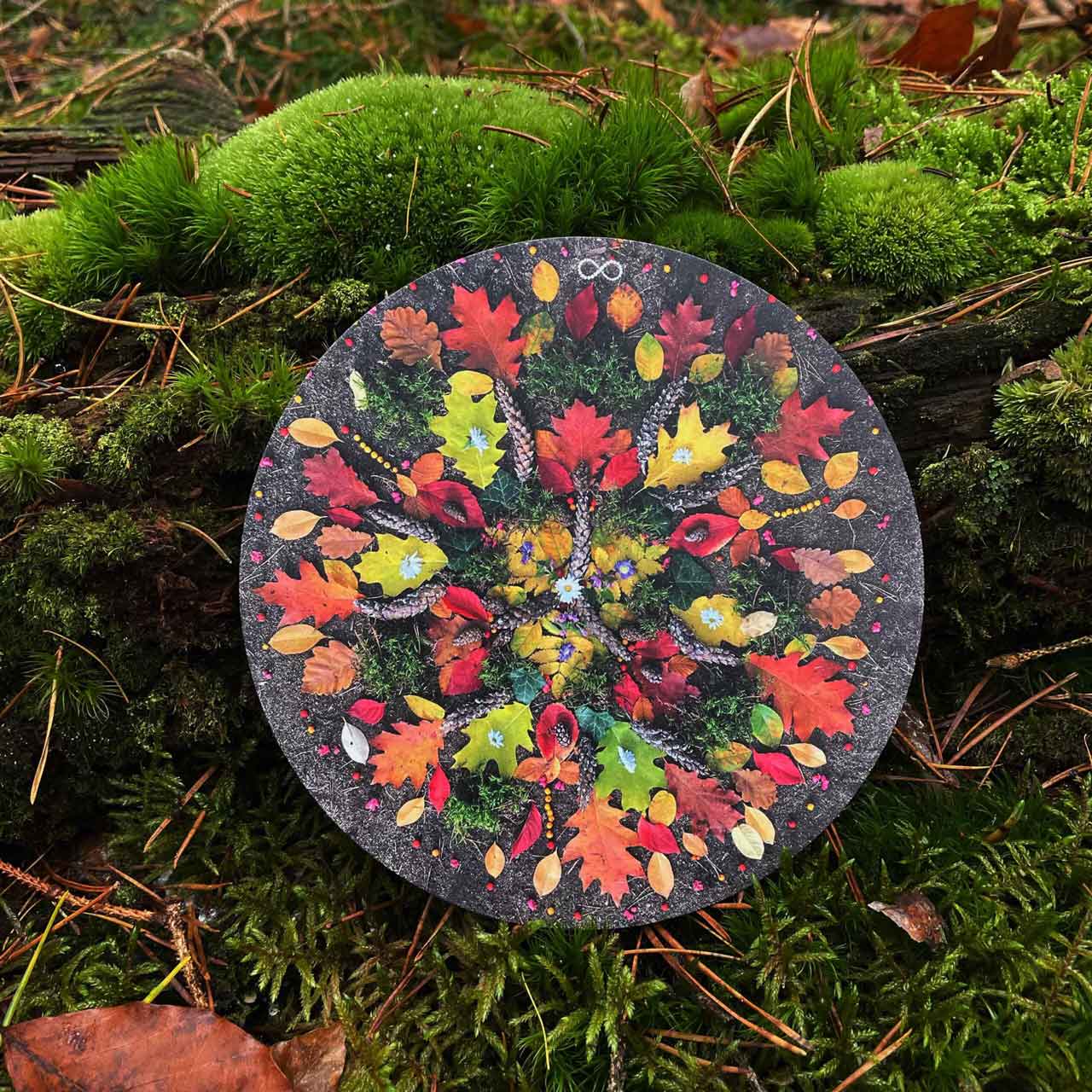 
Herbstlaub-Mandalas als Postkarten von Sabrina Tuchan.